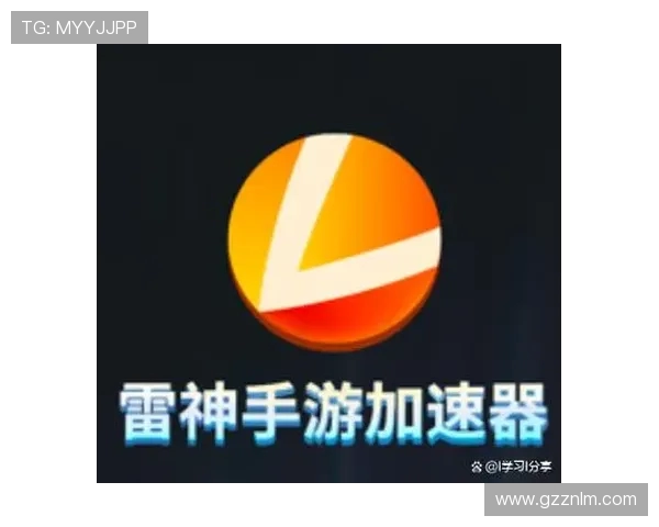 雷神加速器无法支持的游戏该如何解决和绕过的方法分享